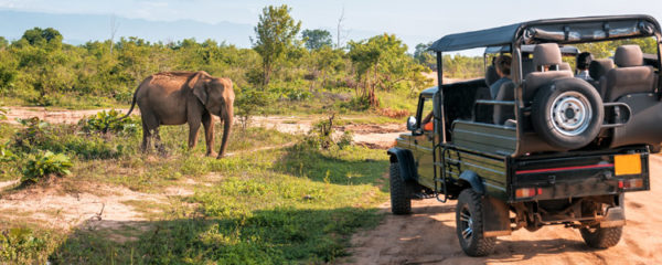 voyage en Tanzanie