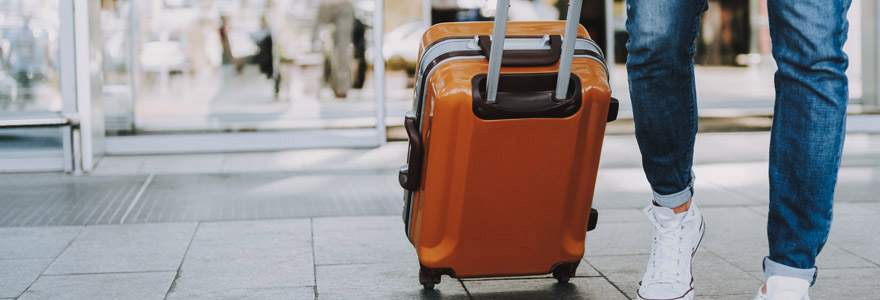 valise