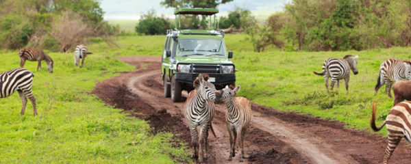 Voyager en tanzanie