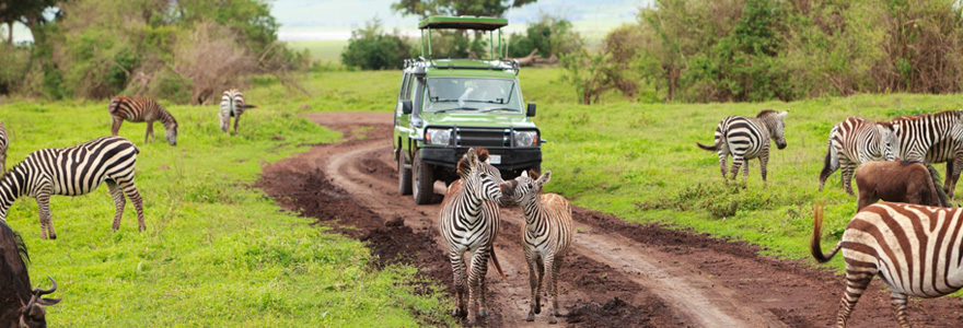 Voyager en tanzanie